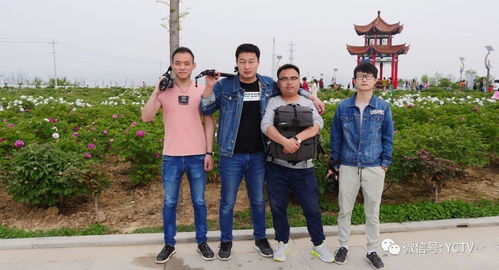 影視宣傳，我們是認真的——西安網站建設助力影視行業騰飛