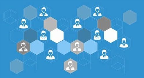 仁懷網(wǎng)絡(luò)推廣實(shí)戰(zhàn) 技術(shù)原理、核心參數(shù)與區(qū)域品牌突圍之道